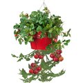 Next2Nature Enameled Galvanized Hanging Strawberry, Floral Planter - Red NE2588664